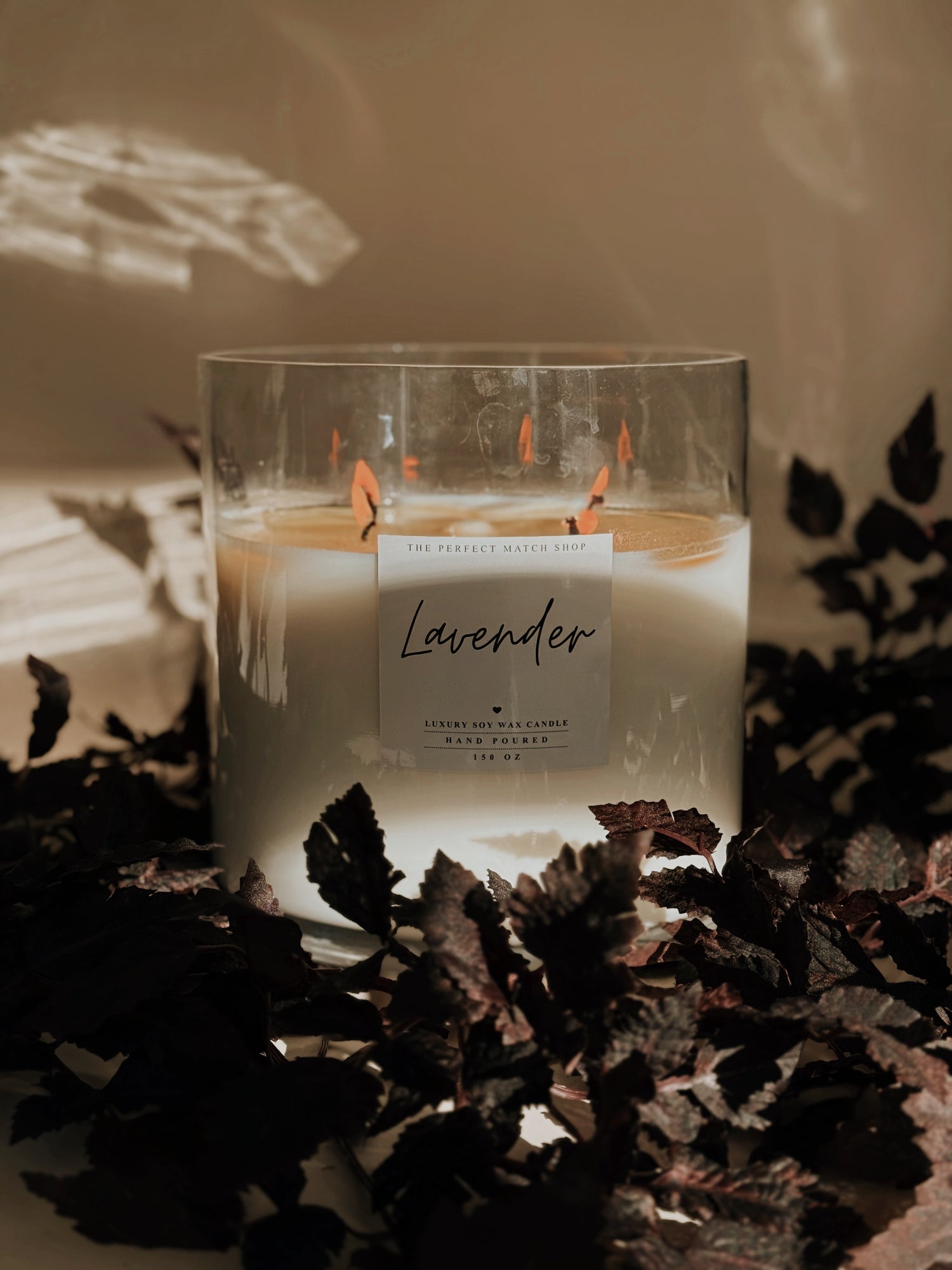 Lavender - 150 oz Show Stopper