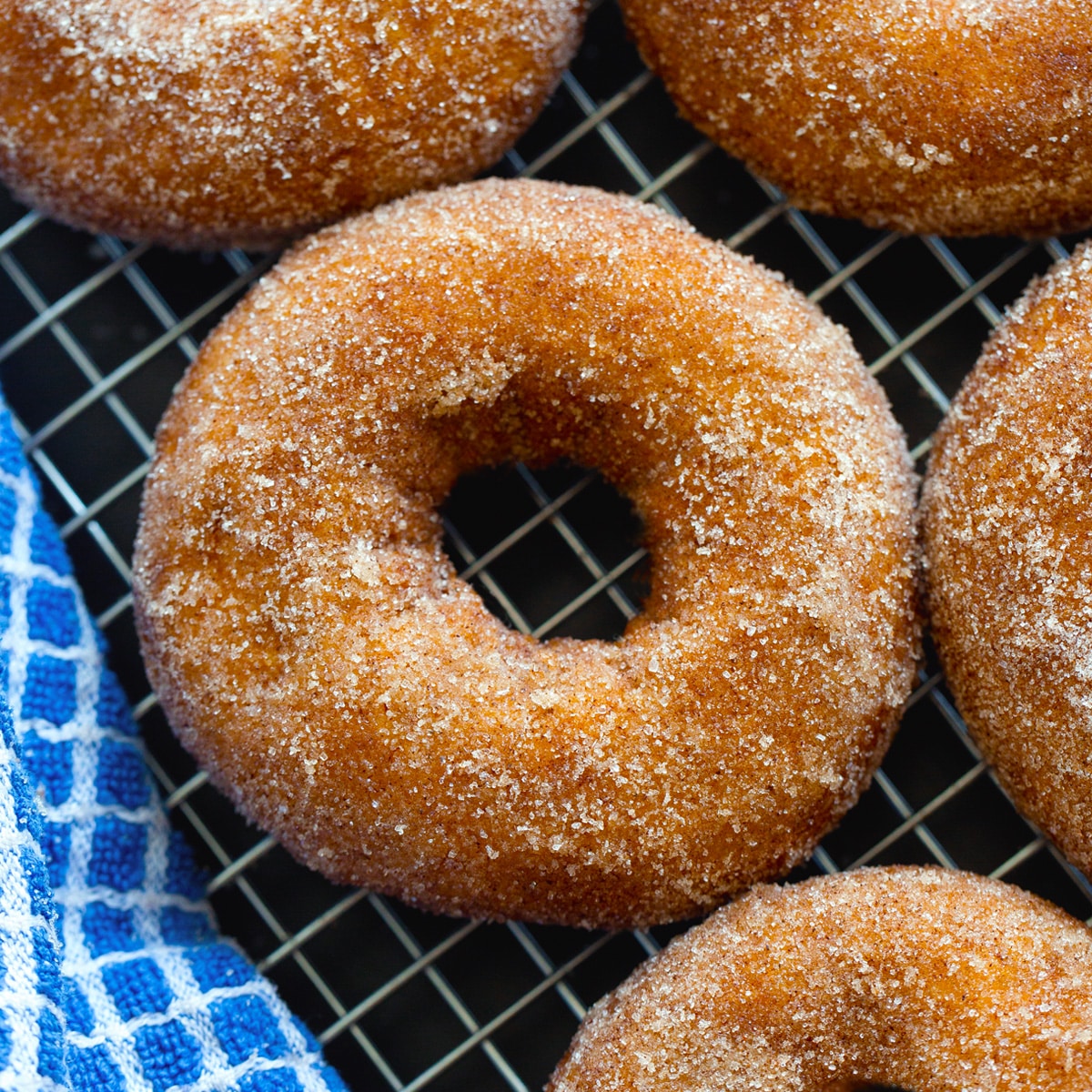 Cinnamon Sugar Donut