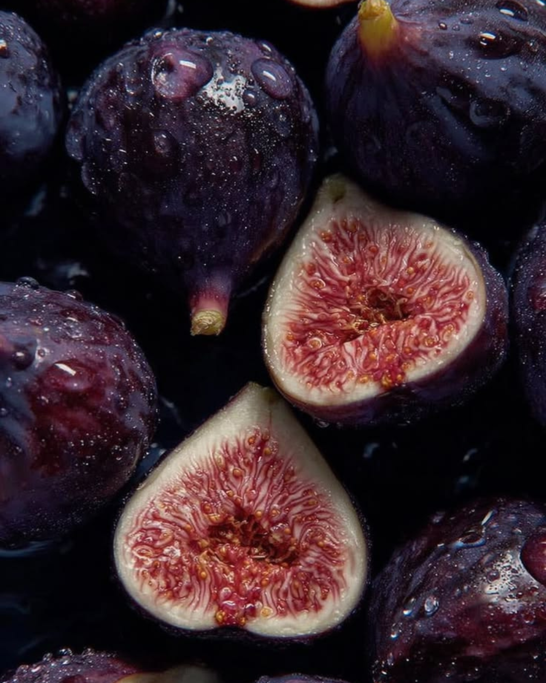 Black Fig & Plum - 150 oz Show Stopper